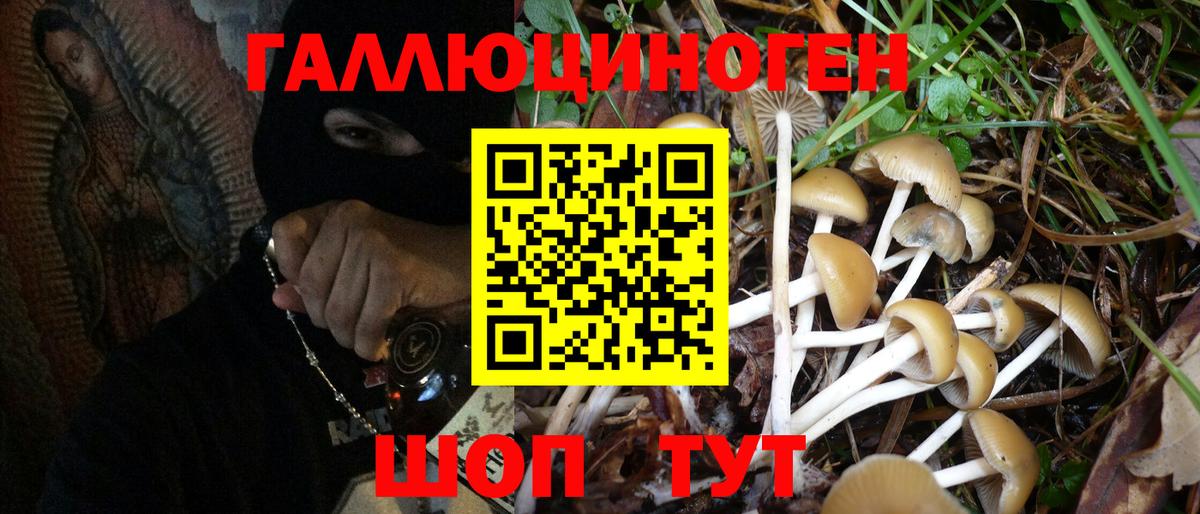 Псилоцибиновые грибы Magic Shrooms Богородицк