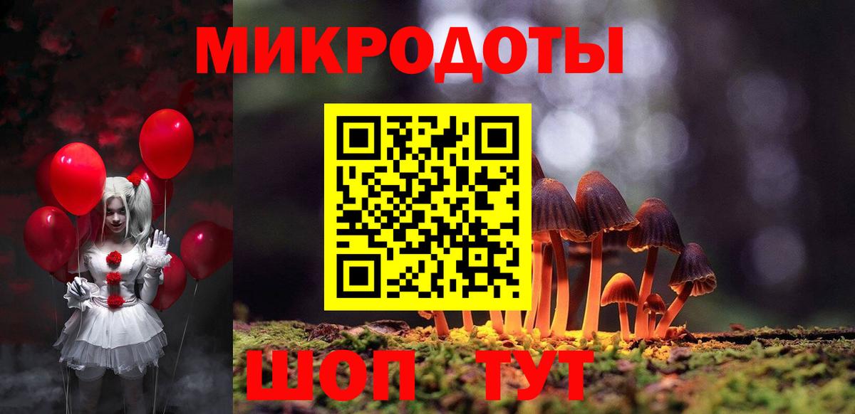 Богородицк  Псилоцибиновые грибы мицелий  Вход с VPN  купить наркотик  Галлюциногенные грибы Psilocybe 